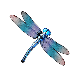 static_dragonfly