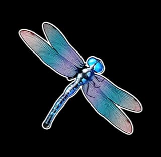 static_dragonfly