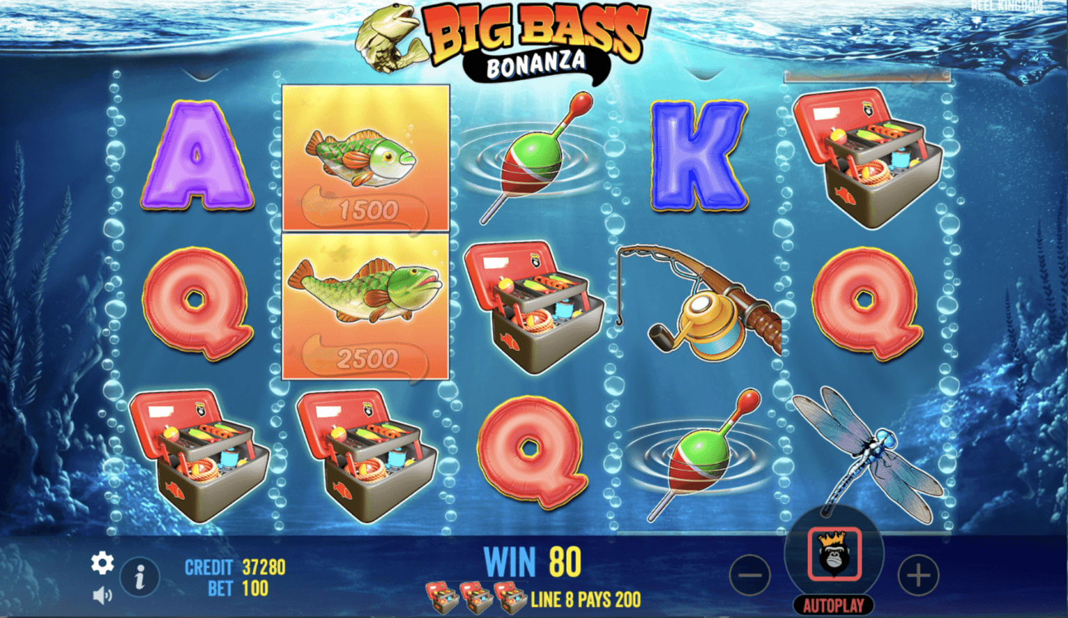 What are the Primary Differences between the Versions of Big Bass Bonanza Slot Game?